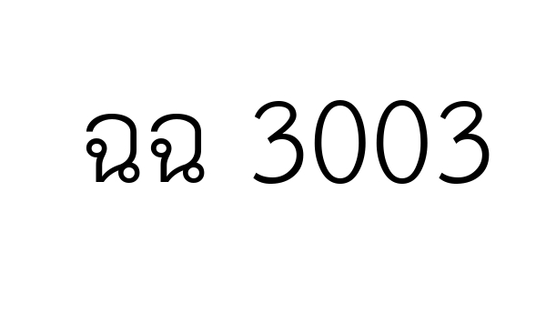 ฉฉ 3003